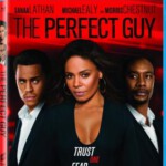 S173完美家伙/完美男人 THE PERFECT GUY (2015) 完美人选