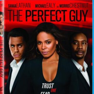 S173完美家伙/完美男人 THE PERFECT GUY (2015) 完美人选
