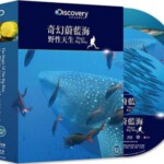 S174奇幻蔚蓝海：野性天生 THE MAGIC OF THE BIG BLUE（2015）