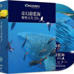 S174奇幻蔚蓝海：野性天生 THE MAGIC OF THE BIG BLUE（2015）