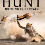 S215-217猎捕/生存战 3碟 纪录片巅峰之作