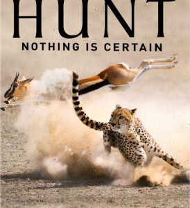 S215-217猎捕/生存战 3碟 纪录片巅峰之作