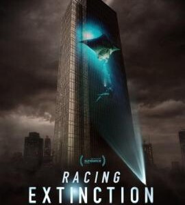 B341 BBC:竞速灭绝 竞相灭绝 2015 第88届奥斯卡金像奖(2016)