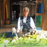 B514老师与流浪猫 2015 日本