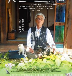 B514老师与流浪猫 2015 日本