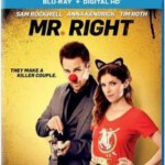 C301真命天子 MR. RIGHT (2015)