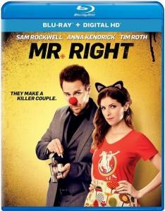 C301真命天子 MR. RIGHT (2015)