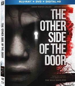 C331亡界之门/鬼门开 THE OTHER SIDE OF THE DOOR (2016)