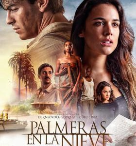C569雪中的棕榈树 PALMERAS EN LA NIEVE (2015)