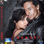 D307为爱叛逆/反叛者 BAAGHI：A REBEL FOR LOVE (2016) 印度