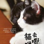 D441为什么猫都叫不来 日本 根据漫画改编的真人版电影 7.5分