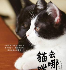 D441为什么猫都叫不来 日本 根据漫画改编的真人版电影 7.5分