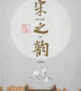 D444纪录片:宋之韵 2014 HDTV高清版