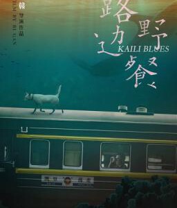 D454 路边野餐/惶然录 Kaili Blues(2015) 本片荣获台湾金马奖最佳导演奖