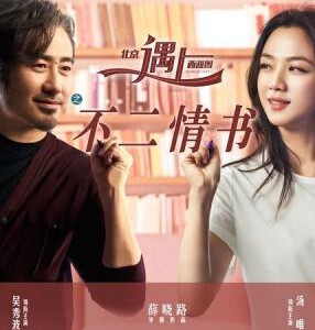 C500北京遇上西雅图之不二情书 北京遇上西雅图2 BEIJING MEETS SEATTLE II：BOOK OF LOVE(2016)