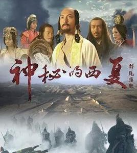 D486神秘的西夏 2015