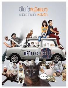 D534擅离职守的猫咪 喵星人与爱 2015