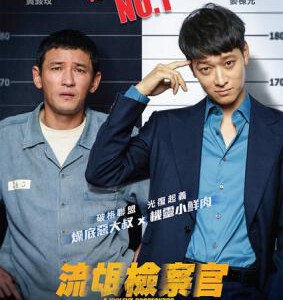 E351流氓检察官/检察官外传 A VIOLENT PROSECUTOR (2016)