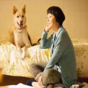 E413狗狗没有家 为你取名的那一天 2015