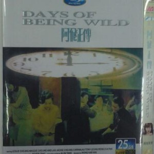 E494阿飞正传 DAYS OF BEING WILD