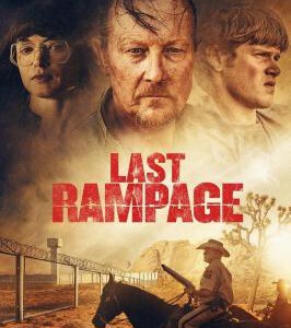 V434最后的疯狂 2017 评分5.5