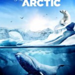 F369  IMAX：奇幻冰极 奇幻冰極 WONDERS OF THE ARCTIC (2014)