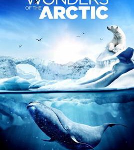 F369  IMAX：奇幻冰极 奇幻冰極 WONDERS OF THE ARCTIC (2014)