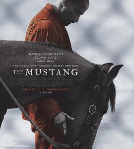 V446野马 2019 评分7.2