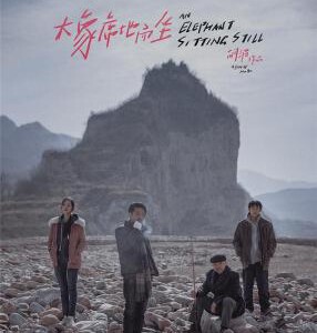 V448大象席地而坐/金羊毛/爱在樱花盛开时 2018 评分8.0