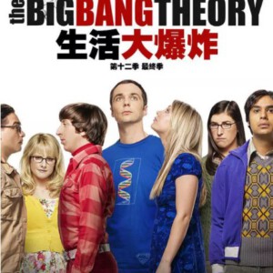 V476-477生活大爆炸 第12季 2碟 不支持PS 豆瓣9.6