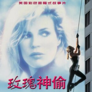 V494霹雳神偷/神偷俏佳人 The Real McCoy (1993)豆瓣6.5