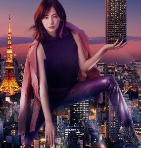 V529-530卖房子的女人（1+2季）北川景子 2碟装 高清版 不支持PS3/PS4