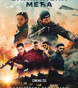 B708巴尔干边界/绝密突袭 The Balkan Line (2019) 豆瓣7.5