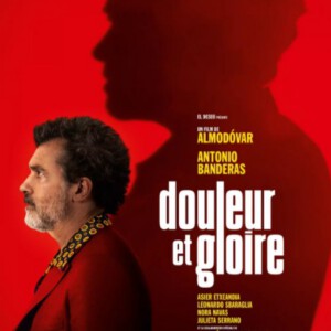 B705痛苦与荣耀/万千痛爱在一身 Pain & Glory(2019)豆瓣8.6