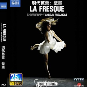 B714现代芭蕾舞:壁画