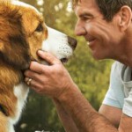 B737一条狗的使命2/狗狗的旅程2 A Dog’s Journey (2019) 豆瓣6.9
