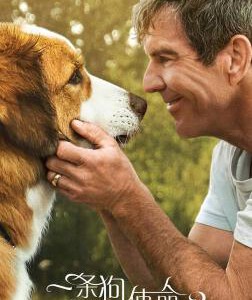 B737一条狗的使命2/狗狗的旅程2 A Dog’s Journey (2019) 豆瓣6.9