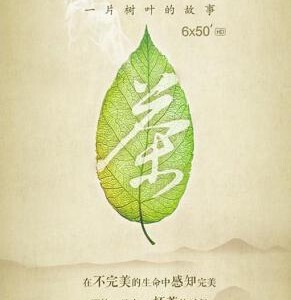 B741茶,一片树叶的故事 Tea: Story of the Leaf (2013) 豆瓣8.8 高清版 不兼容PS