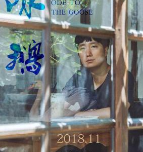 B763咏鹅/群山：咏鹅/好日子 2018 评分7.1