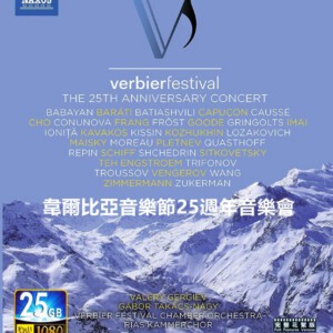 B747韦尔比亚音乐节25周年音乐会（2019）