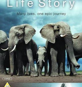 H554-555 BD50 BBC：生命礼赞/生命之旅 2014 2碟装