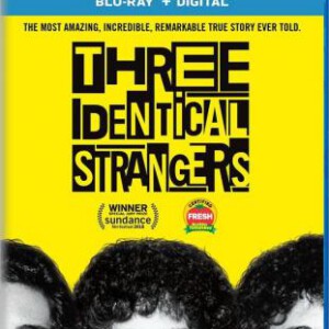 B773孪生陌生人 2018 评分7.9