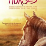 B847牛仔冒险：骑马环游世界－乘骑文化(2006)