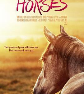 B847牛仔冒险:骑马环游世界-乘骑文化(2006)