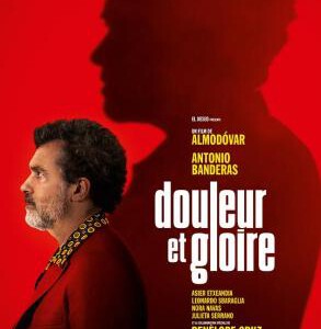 H564 BD50痛苦与荣耀/万千痛爱在一身 2019 评分8.6