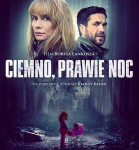 C640几近漆黑的夜晚 Dark, Almost Night(2019)