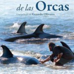 C714逆戟鲸/虎鲸灯塔 El faro de las orcas 2016