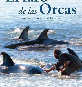 C714逆戟鲸/虎鲸灯塔 El faro de las orcas 2016