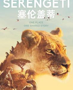 C729-730塞伦盖蒂 2019 评分9.4 2碟装 BBC出品必属精品