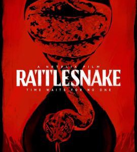 C746响尾蛇/蛇杀/响尾蛇之吻 2019 评分4.3